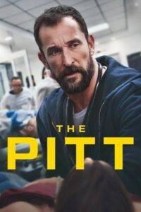 The Pitt (2025) Hindi Season 1 Completed