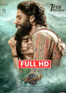 Thandel (2025) Hindi Dubbed HD