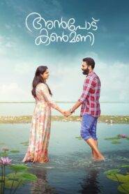 Anpodu kanmani (2025)Malayalam