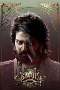 Swag (2024)  Hindi Dubbed
