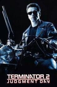 Terminator 2 Judgment Day (1991)Hindi