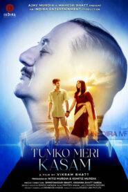 Tumko Meri Kasam (2025) Hindi