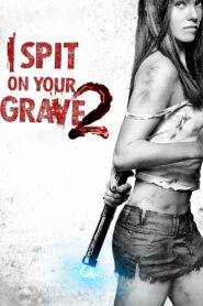 Spit on Your Grave 2 (2013) Hindi Dubbed